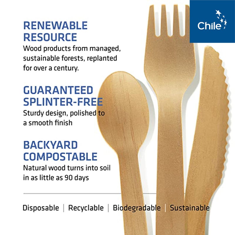 WOODABLE Disposable Wooden Cutlery Set - 100% Home Compostable - 100 Spoons 6.5", Bamboo Utensils Alternative, Eco-Friendly, Organic, Sustainable and Carbon Neutral Certified - Image 3